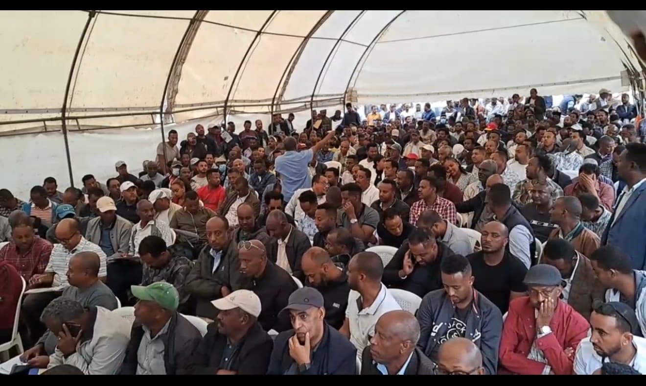 OPEN AUCTIO COMMING SOON